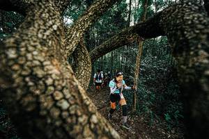 BIB: 
                            <button type="button" onclick="openModal(25393263)" class="btn btn-primary btn-sm float-right btn-popup" data-toggle="modal" data-target=".modal-high-quality">
                        <i class="fas fa-shopping-cart"></i> Add to Cart
                    </button>
                                            <button type="button" onclick="isThisMe(25393263, true)" class="btn btn-success btn-sm float-right btn-popup btn-isme hidden" data-toggle="tooltip" data-placement="bottom" title="นี่คือรูปของคุณใช่ไหม คลิกที่นี่เพื่อเอาเข้าอัลบั้ม">
                        <i class="fas fa-plus"></i> Add to album
                    </button>
                    <button type="button" onclick="isThisMe(25393263, false)" class="btn btn-warning btn-sm float-right btn-popup btn-isnotme hidden">
                        <i class="fas fa-ban"></i> Remove from album
                    </button>